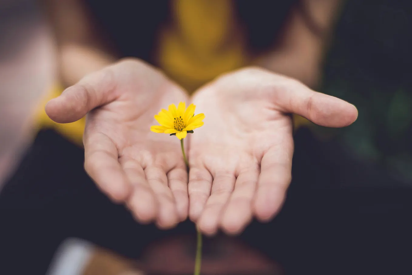 Holistic Healing